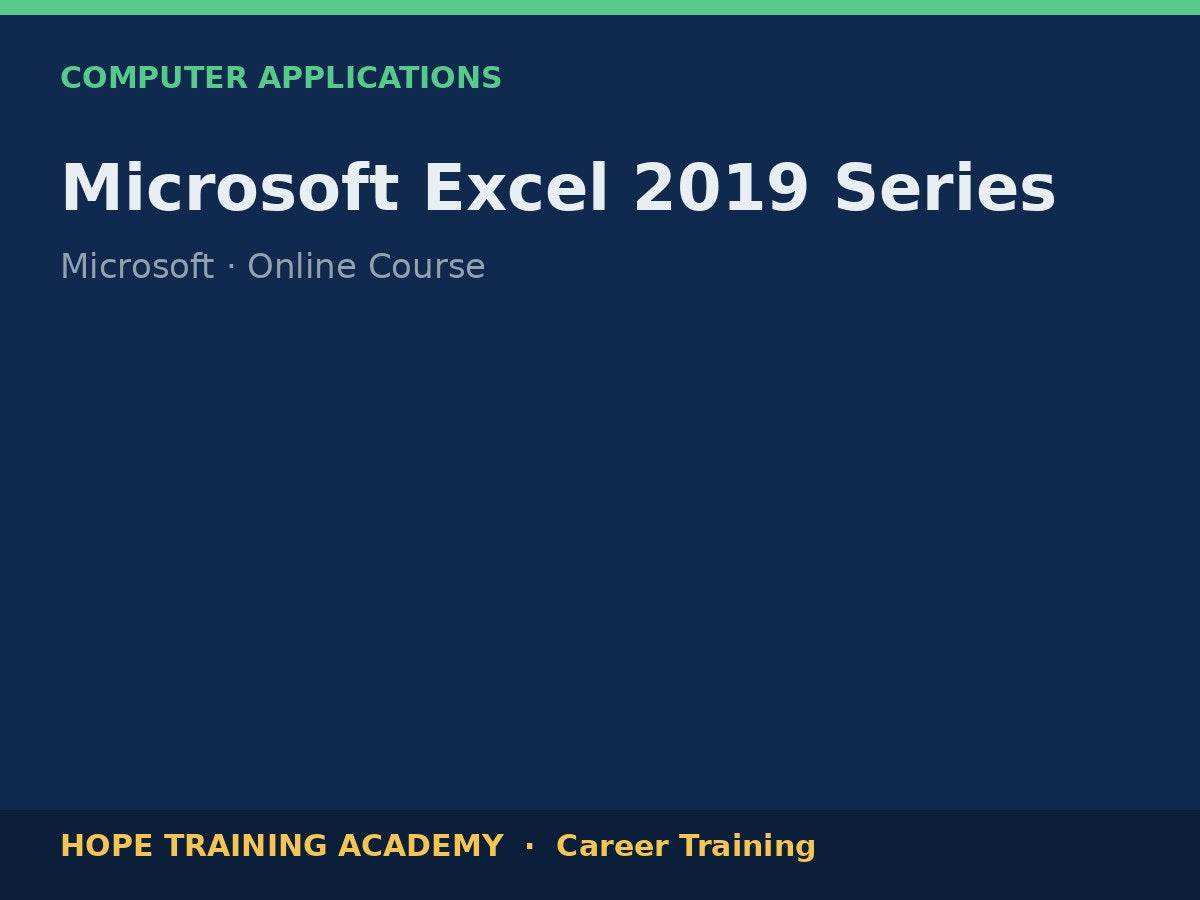 Microsoft Excel 2019 Series