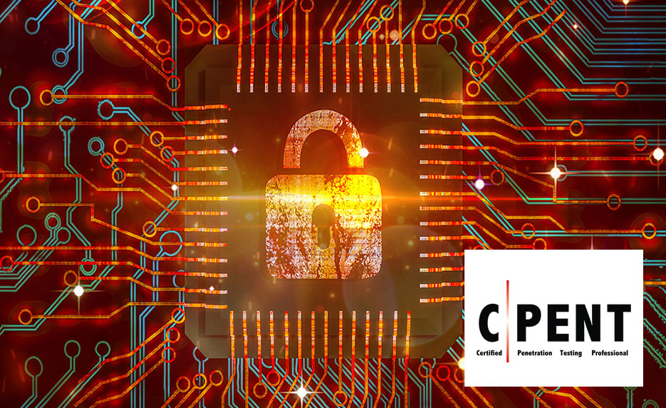 Online Certified Penetration Testing Professional (CPENT) (Voucher Included) from Internet