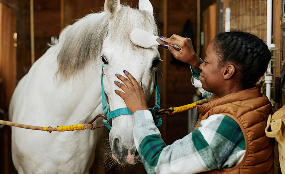Horse Care Management