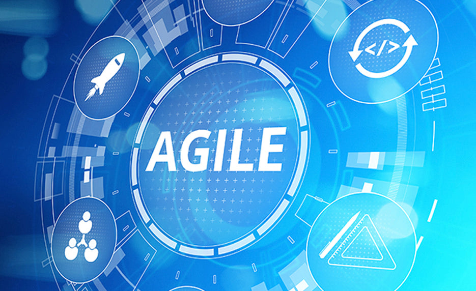 Online PMI Agile Certified Practitioner (PMI-ACP)® from Internet Wealth University