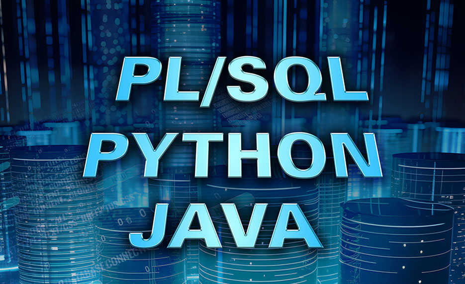 Oracle SQL and PL/SQL + Python Developer + Java Developer
