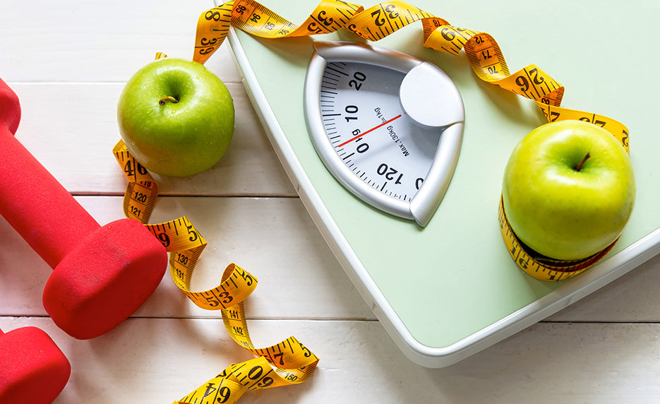 Online NASM Certified Weight Loss Coach (CPT, CNC, WLS) (Vouchers Included) from Internet 