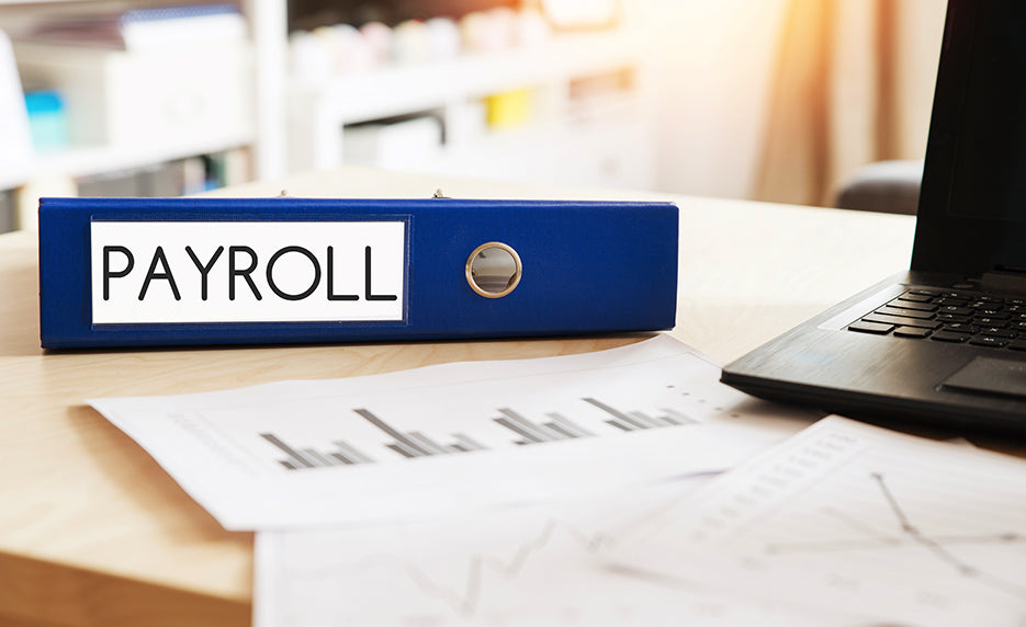 Online Payroll Practice and Management with Microsoft Excel from Internet Wealth Universit