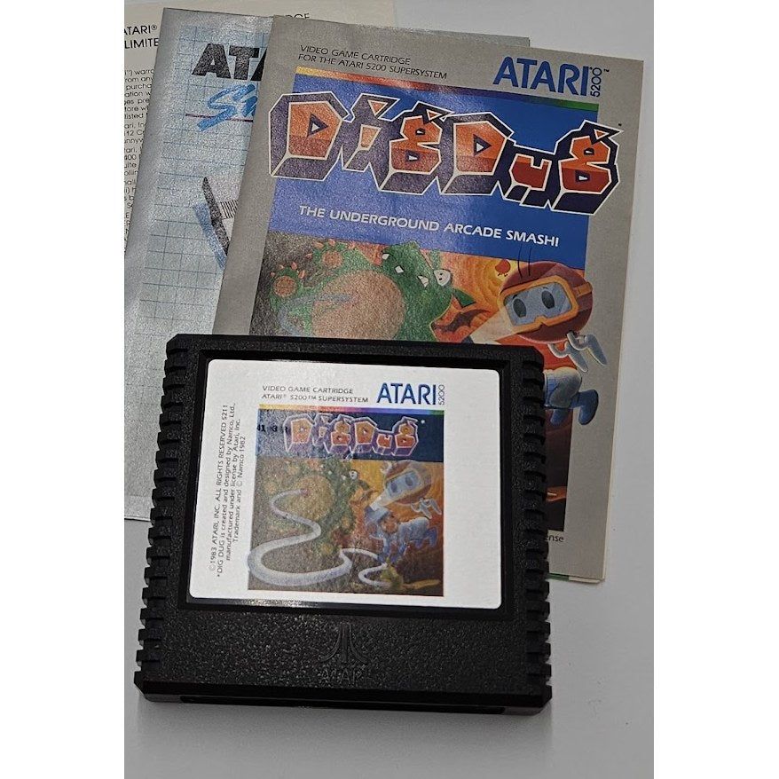 Dig Dug — actual item photo