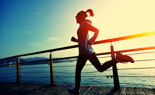 Certificate in Nutrition, Chronic Disease, and Health Promotion (Self-Guided)