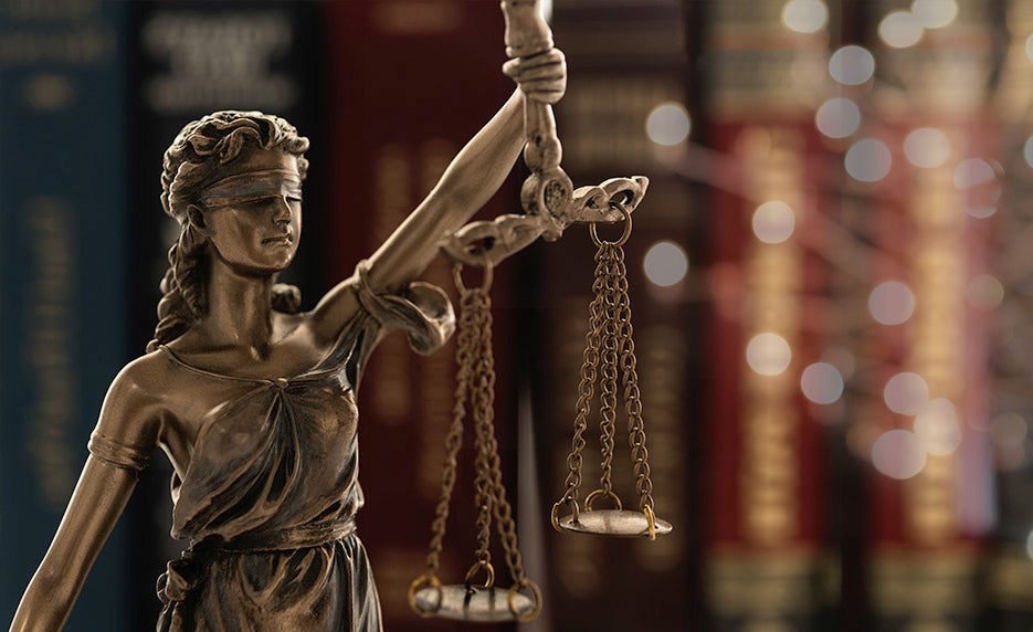 Civil Litigation | Internet Wealth University