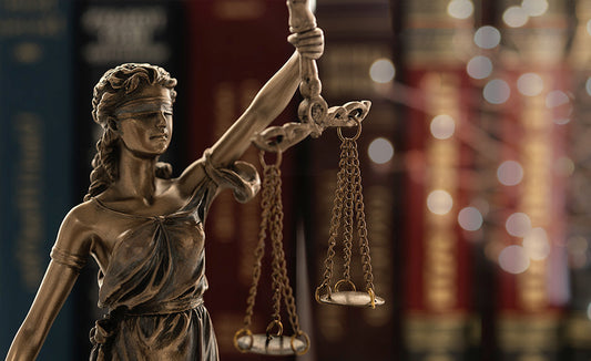 Civil Litigation | Internet Wealth University