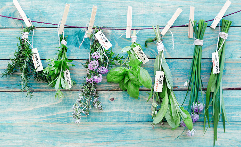 Certificate in Complementary and Integrative Health (Self-Guided)