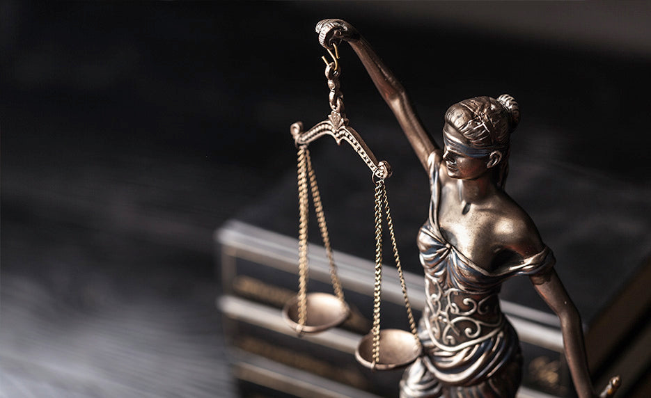 Constitutional Law | Internet Wealth University