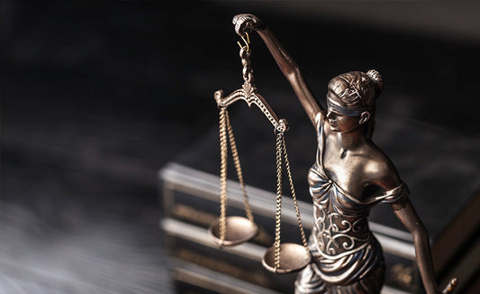 Constitutional Law | Internet Wealth University