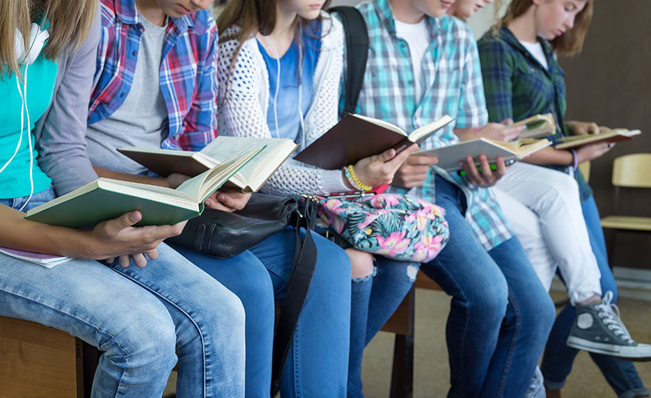Guided Reading: Strategies for the Differentiated Classroom (Self-Guided)