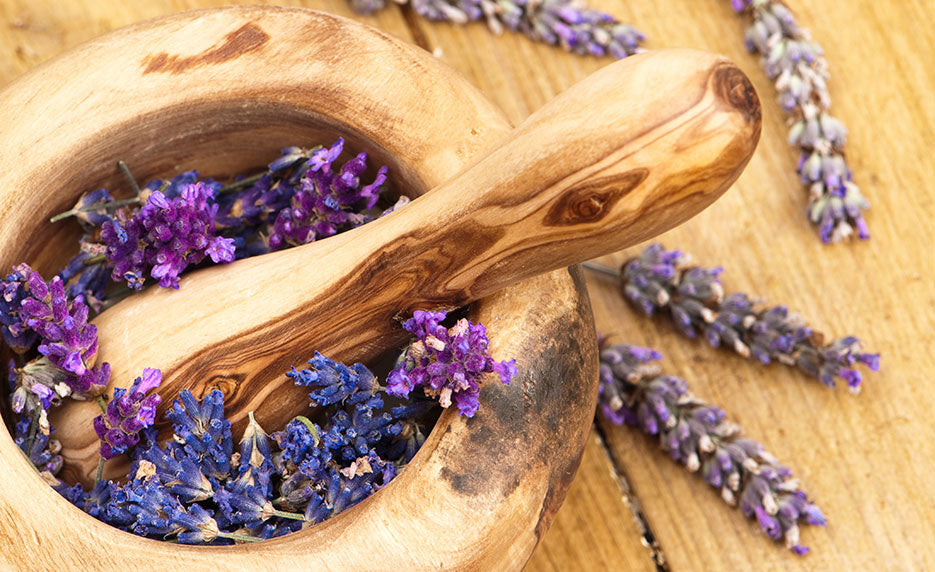 Certificate in Holistic and Integrative Health: Foundations 2 (Self-Guided)