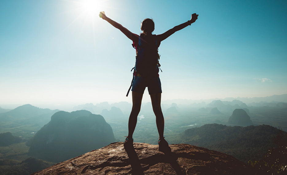 Individual Excellence (Self-Guided)