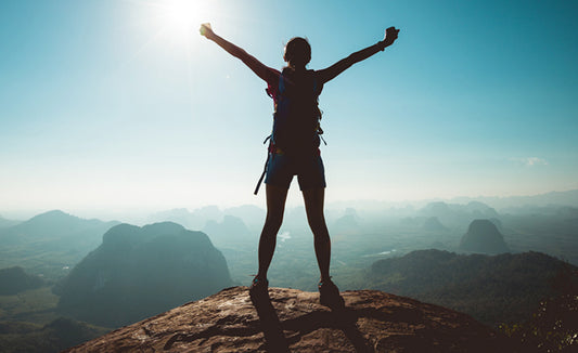 Individual Excellence (Self-Guided)