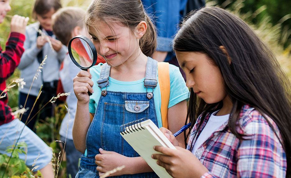 Instructionally-Aligned Field Trips