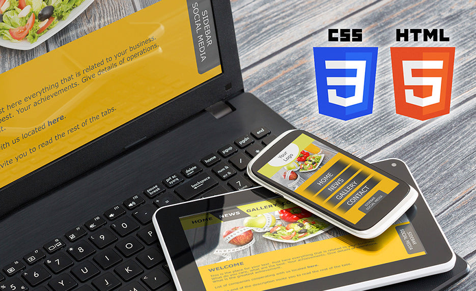 Introduction to CSS3 and HTML5 (Self-Guided)