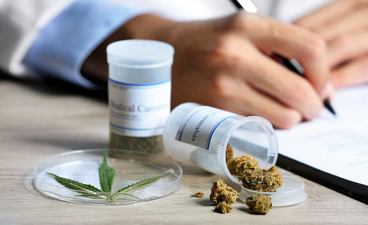 Certificate in Medical Cannabis