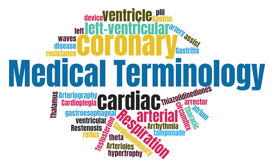 Medical Terminology Series