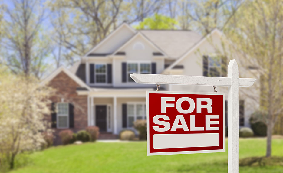 Real Estate Suite