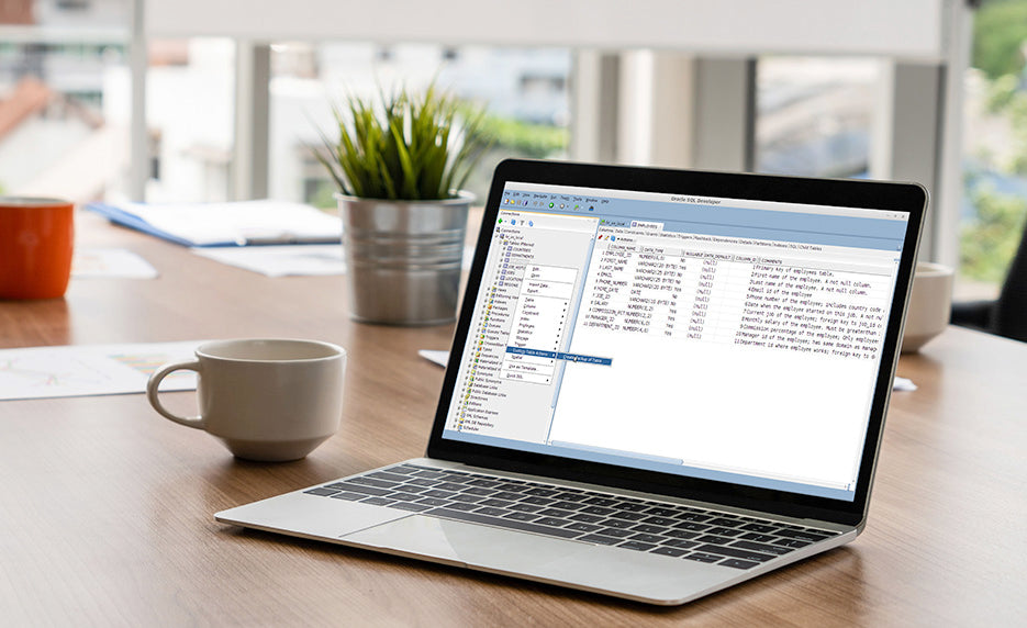Oracle SQL Training | Internet Wealth University