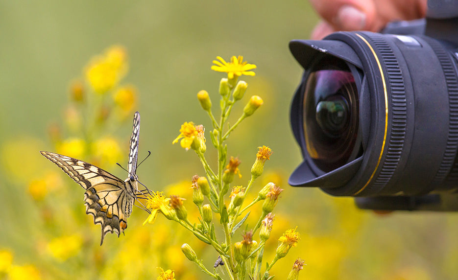Photographing Nature with Your Digital Camera (Self-Guided)