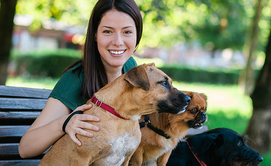 Start a Pet Sitting Business (Self-Guided)