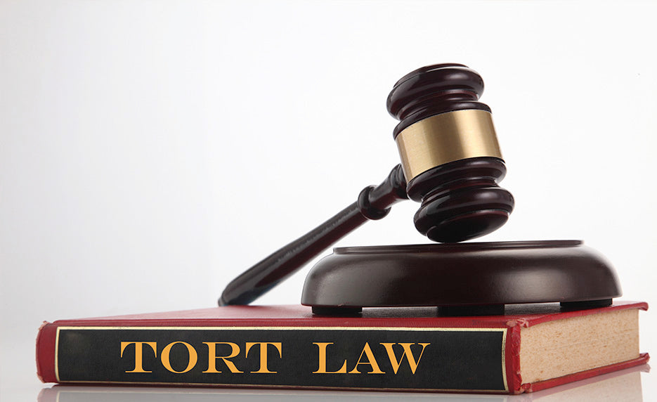 Torts | Internet Wealth University