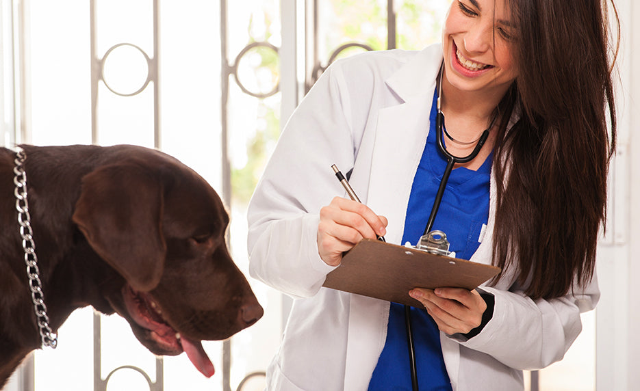 Veterinary Medical Terminology | Internet Wealth University